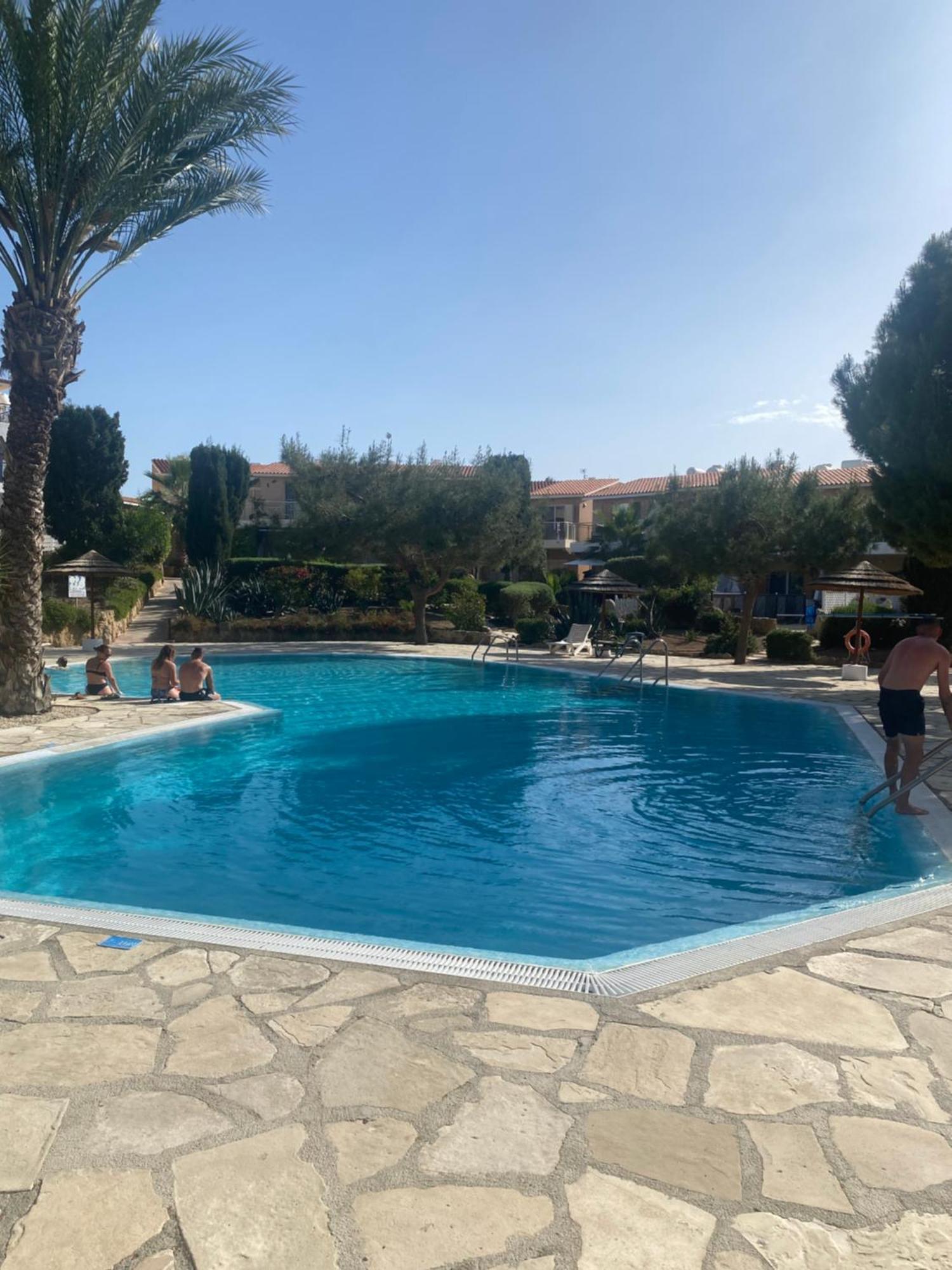 Newly Renovated- Regina Gardens 1, Venus Beach 500 M, Sea&Sunsets View, License Ooo7141 Paphos Eksteriør billede