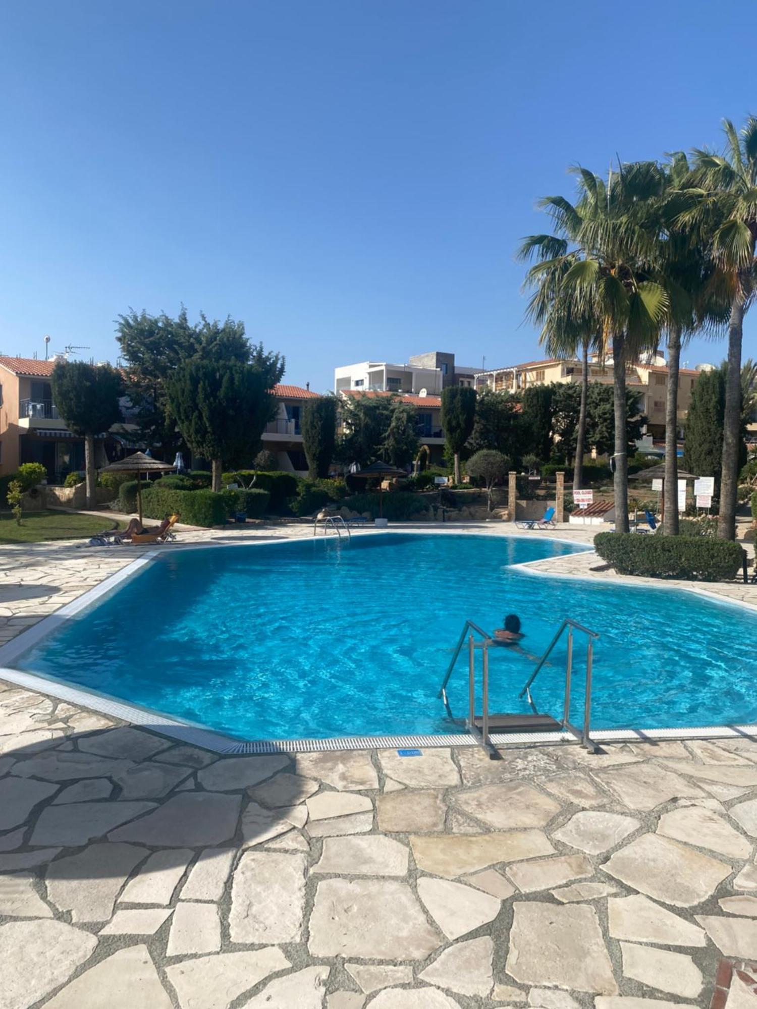 Newly Renovated- Regina Gardens 1, Venus Beach 500 M, Sea&Sunsets View, License Ooo7141 Paphos Eksteriør billede