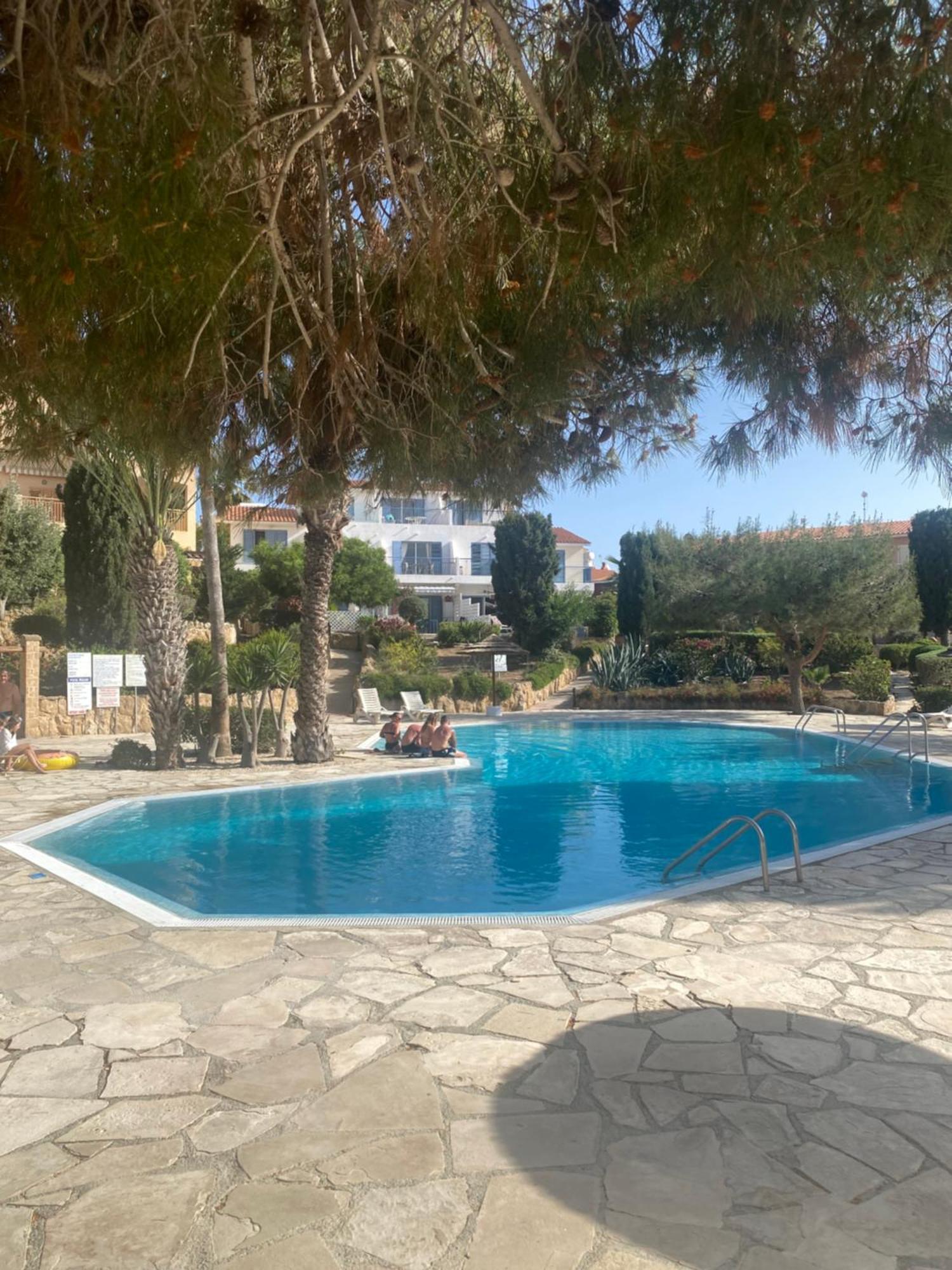 Newly Renovated- Regina Gardens 1, Venus Beach 500 M, Sea&Sunsets View, License Ooo7141 Paphos Eksteriør billede