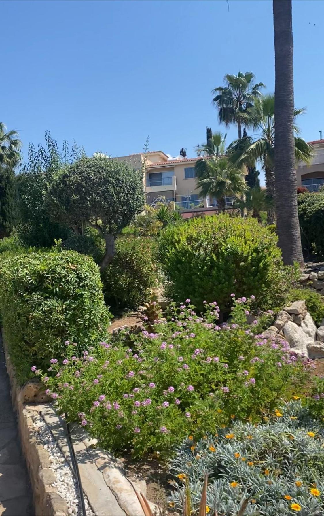 Newly Renovated- Regina Gardens 1, Venus Beach 500 M, Sea&Sunsets View, License Ooo7141 Paphos Eksteriør billede