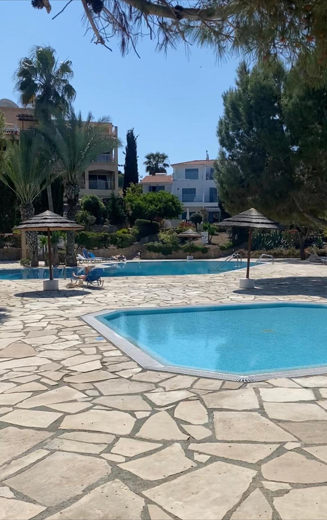 Newly Renovated- Regina Gardens 1, Venus Beach 500 M, Sea&Sunsets View, License Ooo7141 Paphos Eksteriør billede