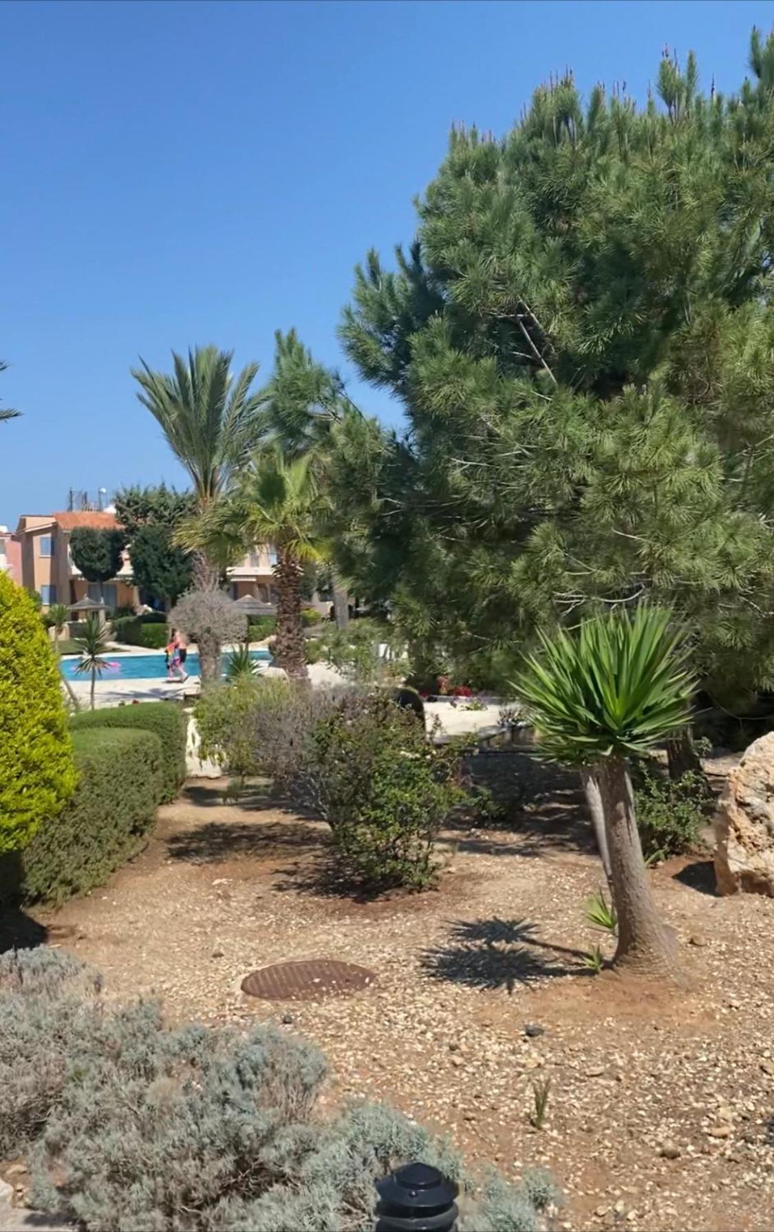 Newly Renovated- Regina Gardens 1, Venus Beach 500 M, Sea&Sunsets View, License Ooo7141 Paphos Eksteriør billede