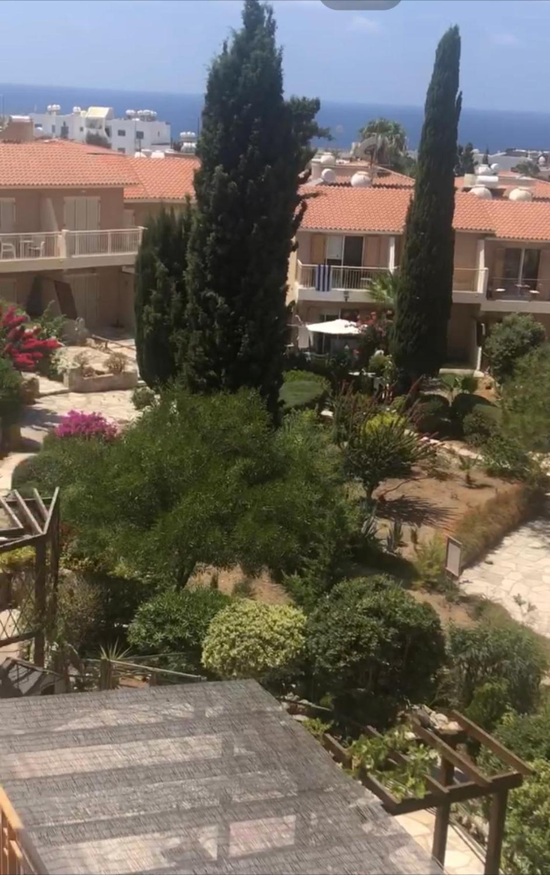Newly Renovated- Regina Gardens 1, Venus Beach 500 M, Sea&Sunsets View, License Ooo7141 Paphos Eksteriør billede