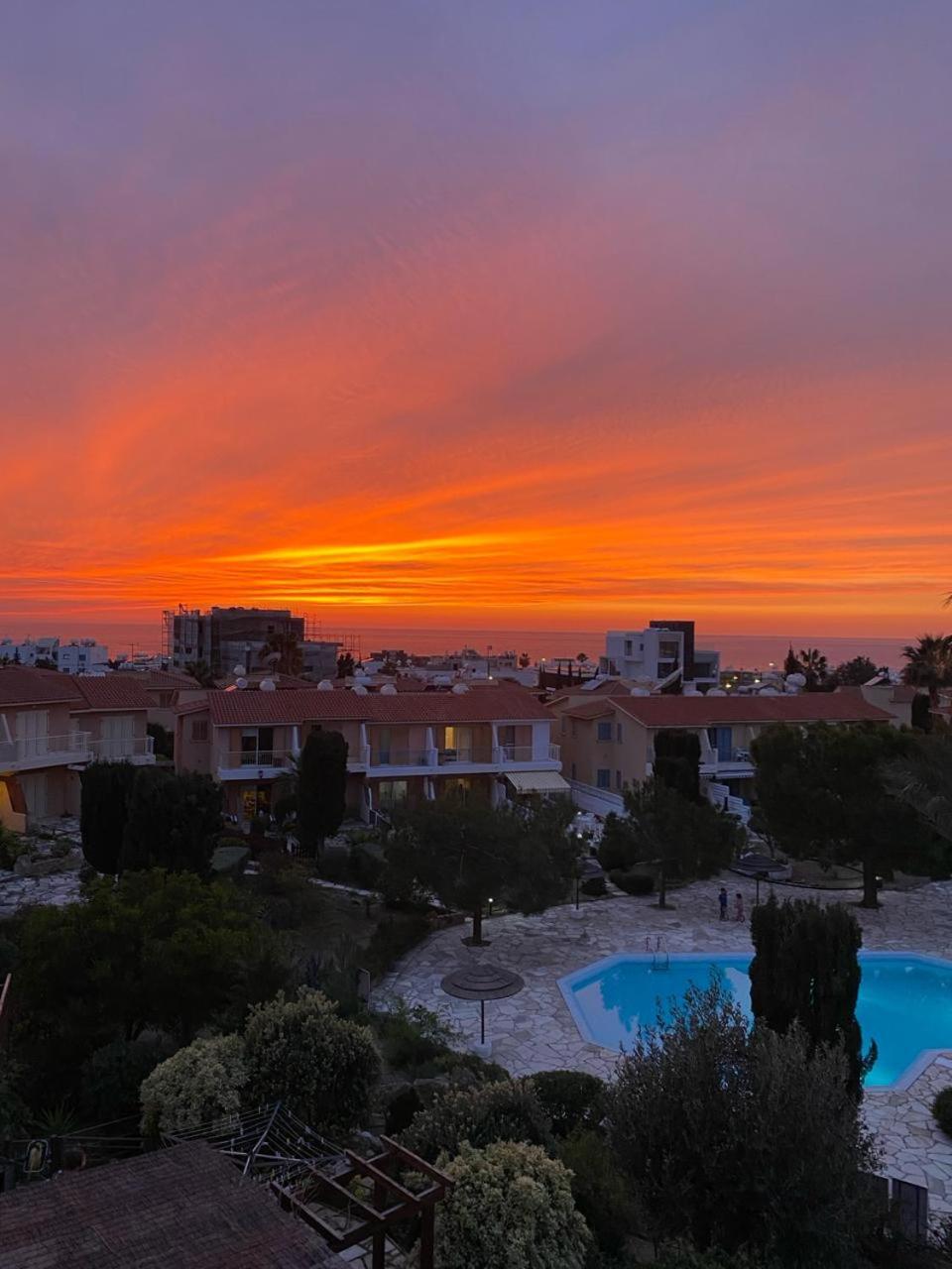 Newly Renovated- Regina Gardens 1, Venus Beach 500 M, Sea&Sunsets View, License Ooo7141 Paphos Eksteriør billede
