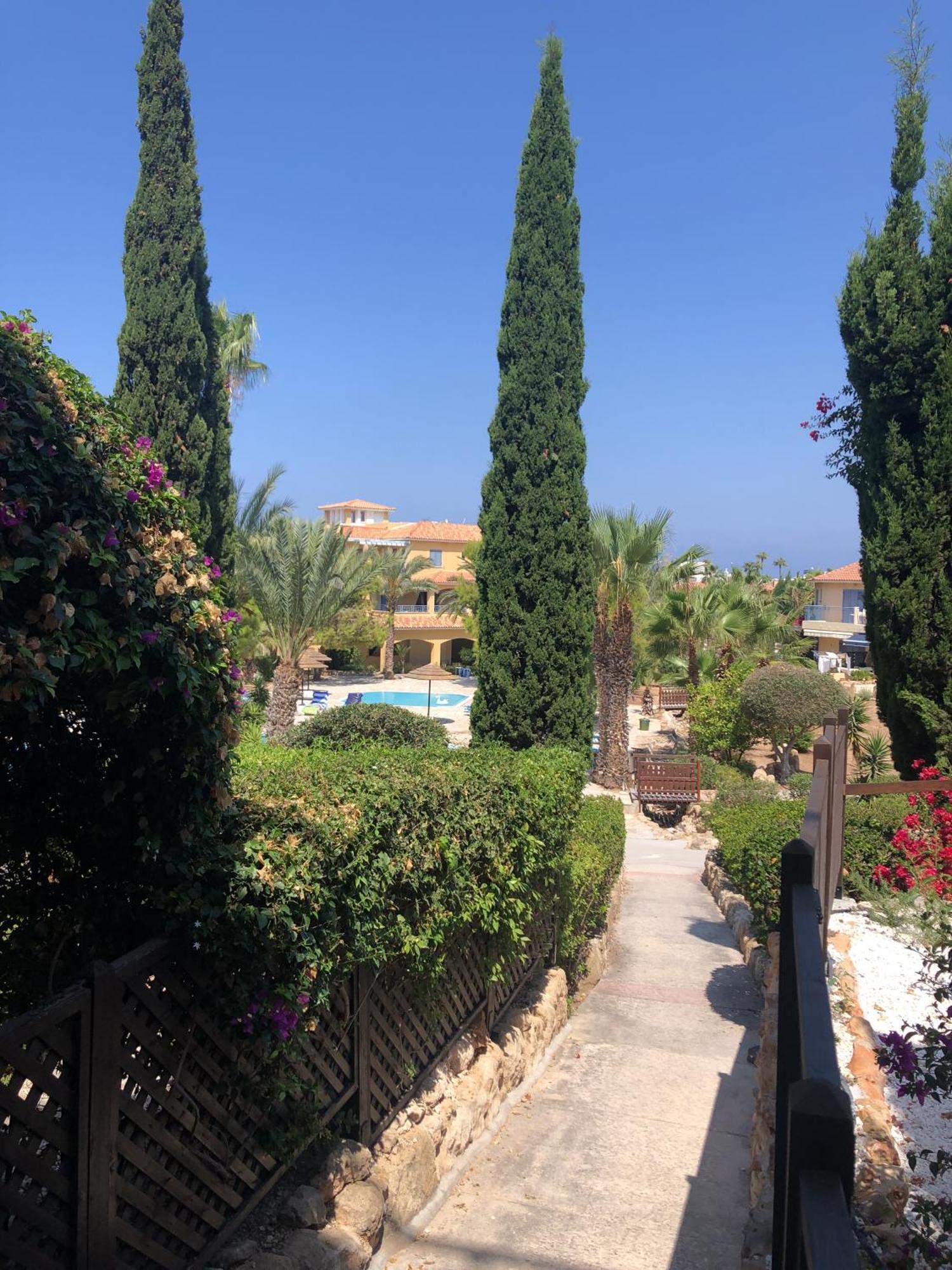 Newly Renovated- Regina Gardens 1, Venus Beach 500 M, Sea&Sunsets View, License Ooo7141 Paphos Eksteriør billede